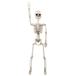 2 Ft. Posable Skeleton Halloween Decoration