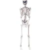 5 Ft. Skeleton Pose & Hold Halloween Decoration