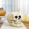 11" Ivory And Black Halloween Skull Tabletop Decoration