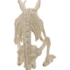 21.5" Rat Attack Skeleton Decoration