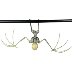 Bat Skeleton