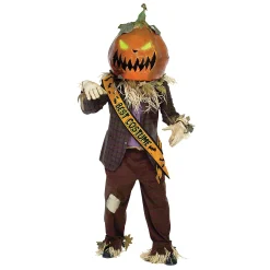 Best Costume Satin Sash