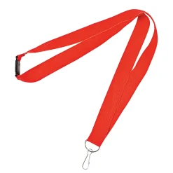 Breakaway Lanyards - 12 Pc.