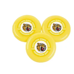 Bulk 72 Pc. Team Spirit Custom Photo Mini Flying Discs