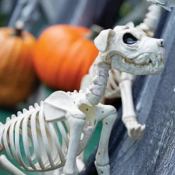 Buster Bonez Dog Skeleton Halloween Decoration