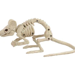 Creepy Crouching Mouse