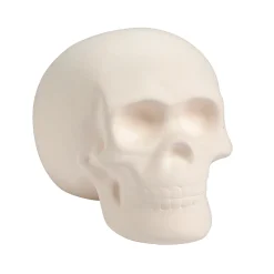 Diy Ceramic Skull