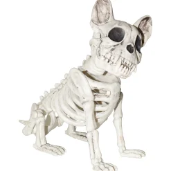 Dog Skeleton