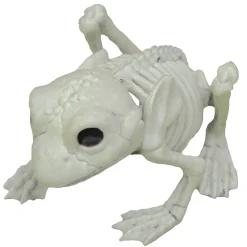 Frog Skeleton Decoration