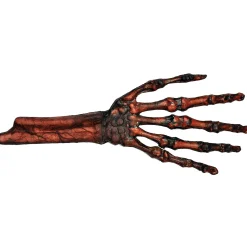 Hand Rotted Flesh And Bone