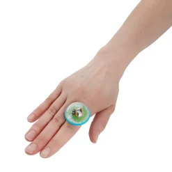 Insect Snow Globe Ring Assortment - 12 Pc.