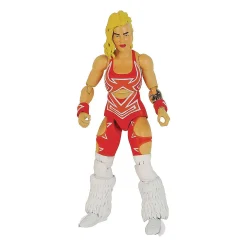 Legends Of Lucha Libre Fanaticos Action Figure Taya Valkyrie