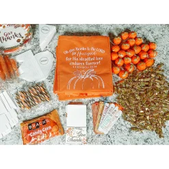 Mini Pumpkin Stress Toys - 24 Pc.