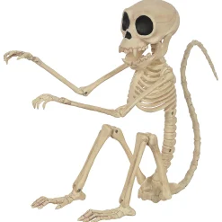 Monkey Skeleton