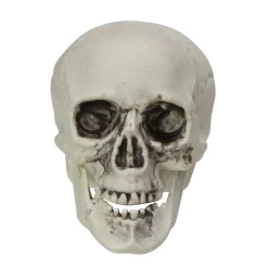 Pack Of 6 Skull Head Halloween Decorations 3.5"