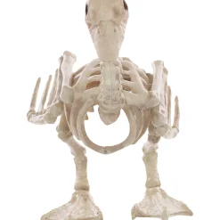 Skeleton Baby Duck Prop