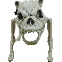 Skeleton Dog