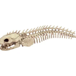 Skeleton Eel Prop