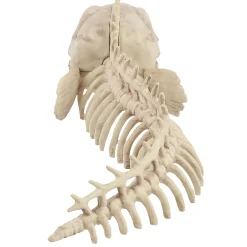 Skeleton Eel Prop