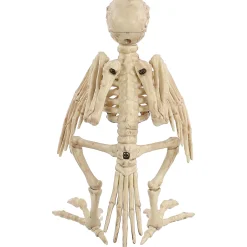 Skeleton Parrot Prop