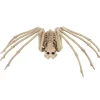 Skeleton Spider Prop