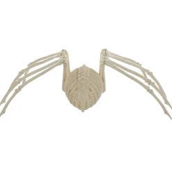 Skeleton Spider Prop