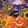 Spellbound Night 500 Piece Jigsaw Puzzle