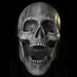 Stone Skull Prop