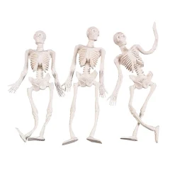 Stretchy Skeletons - 12 Pc.
