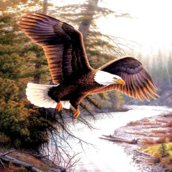 Sunsout Eagle Patriot 500 Pc Jigsaw Puzzle