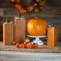 Thanksgiving Indoor Decorating Kit - 5 Pc.