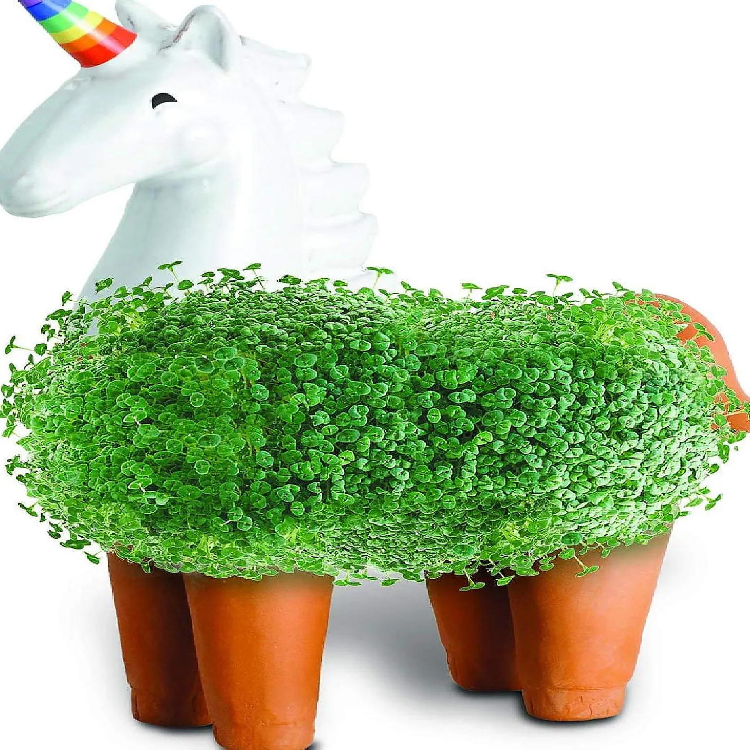 Unicorn With Rainbow Horn Chia Pet Decorative Planter