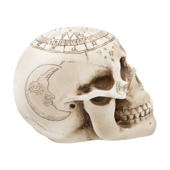 Withchcraft Skull Halloween Decoration